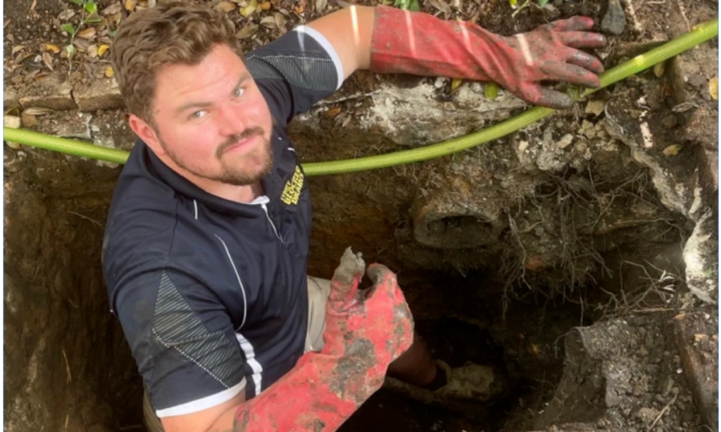 How Tree Roots Damage Sewer Pipes and How Relining Fixes It