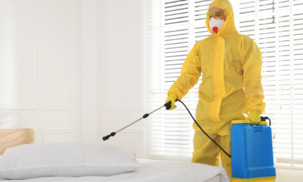 Essential Pest Control Tips Every Homeowner Should Know