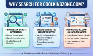Coolkingzone com